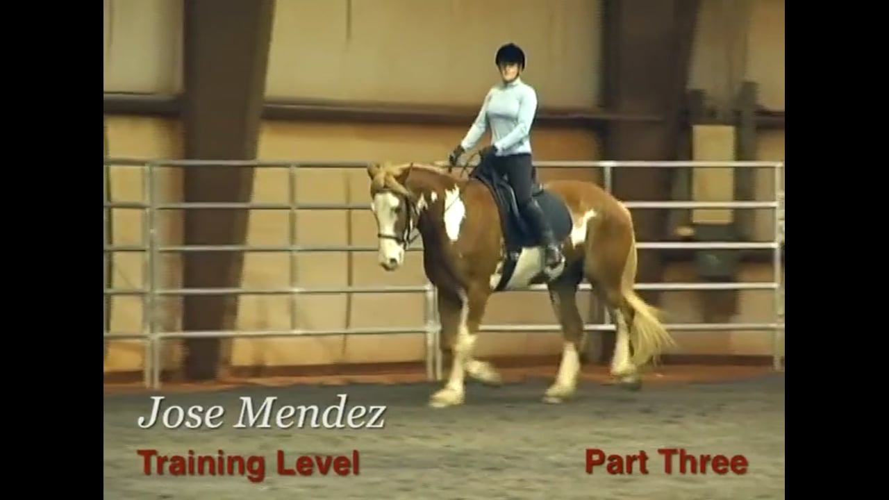 Contact, Whip Use, Forward at the Training Level | Jose Mendez | PART 03