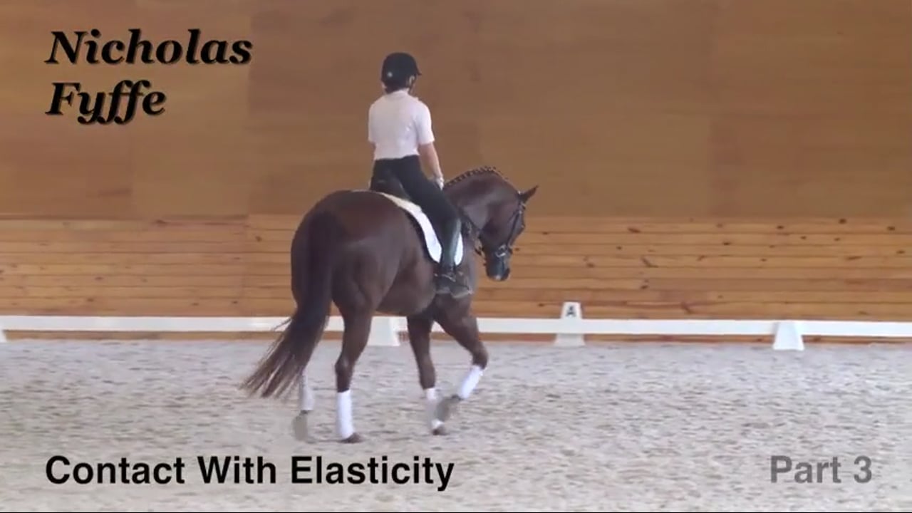 Contact With Elasticity | Nicholas Fyffe | PART 03