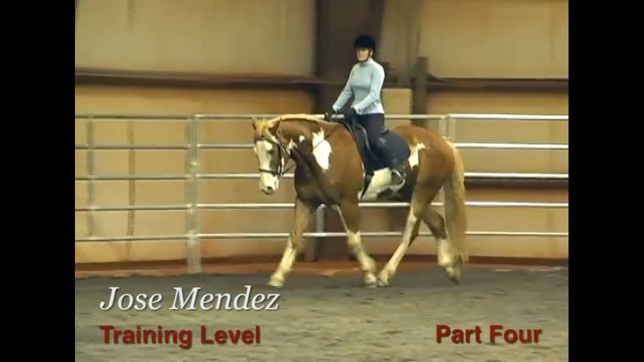 Contact, Whip Use, Forward at the Training Level | Jose Mendez | PART 04