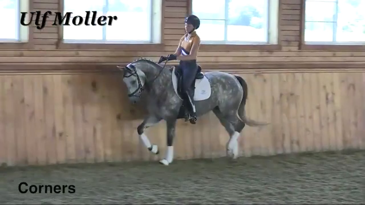 Corners, Transitions, Bend, Balance | Dr Ulf. Moller | PART 02