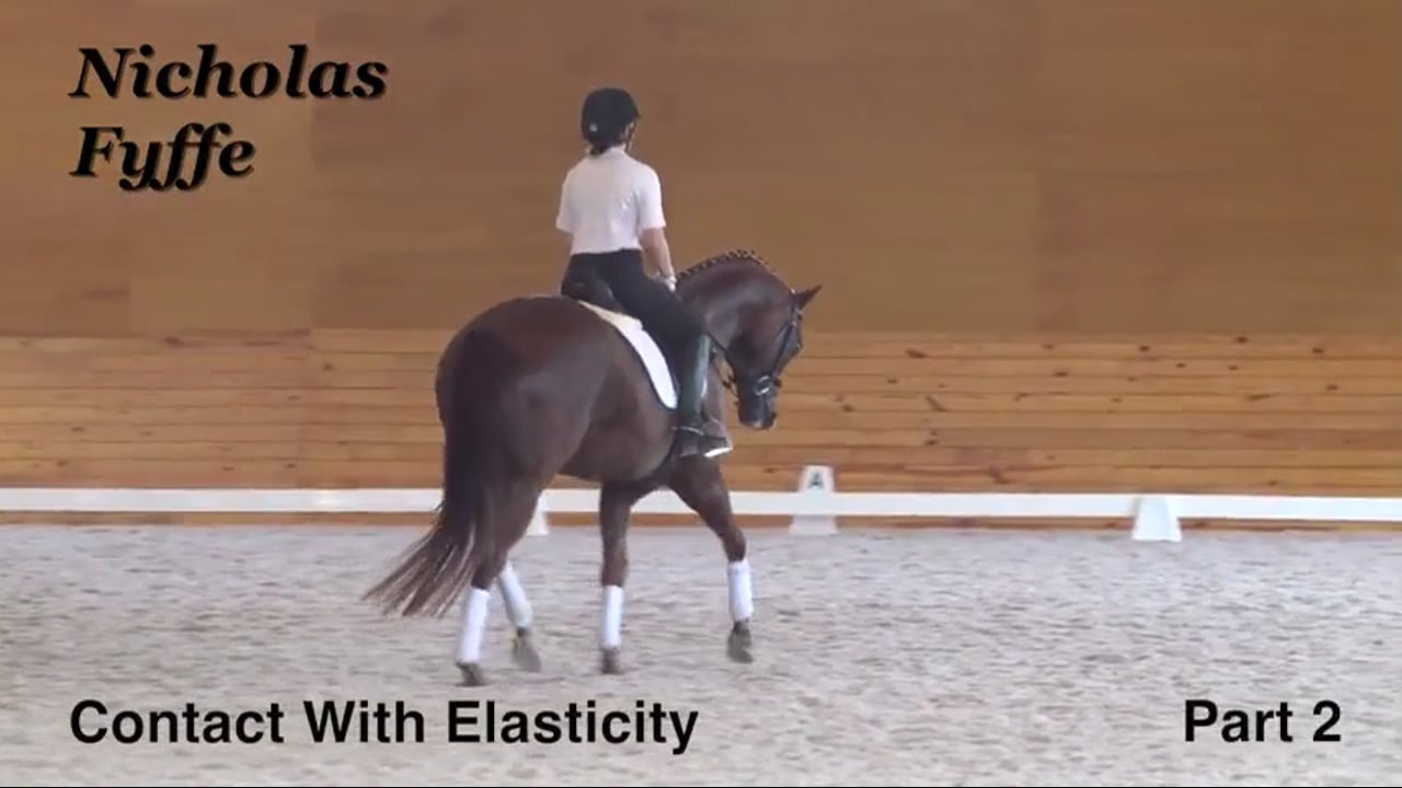 Contact With Elasticity | Nicholas Fyffe | PART 02