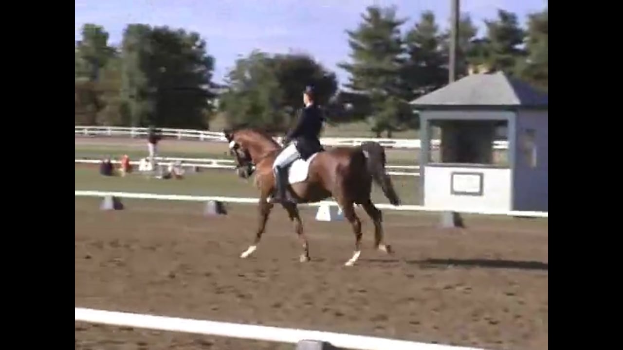 Cory Training | Lilo Fore | PART 02