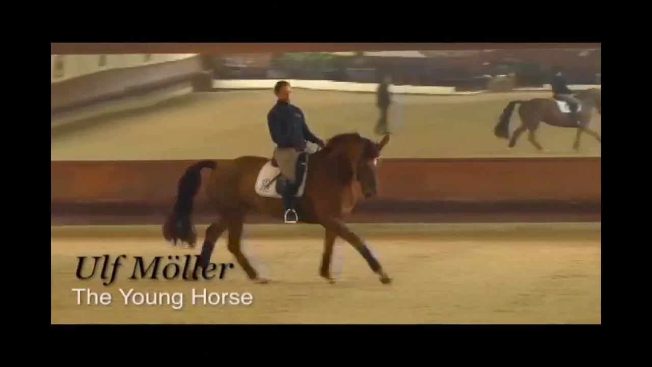 The Young Horse: Counter Canter, Canter-Walk | Dr. Ulf Moller | PART 03