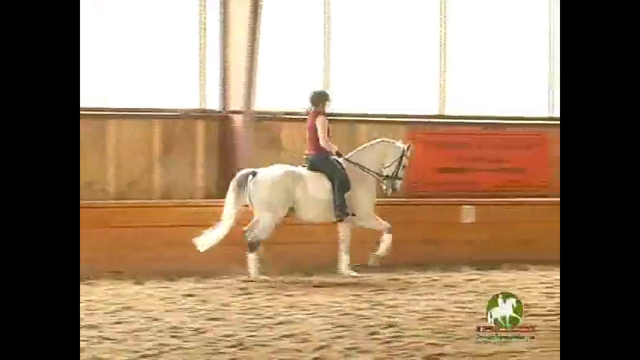 Creating a More Pure Trot | Courtney King-Dye | PART 02