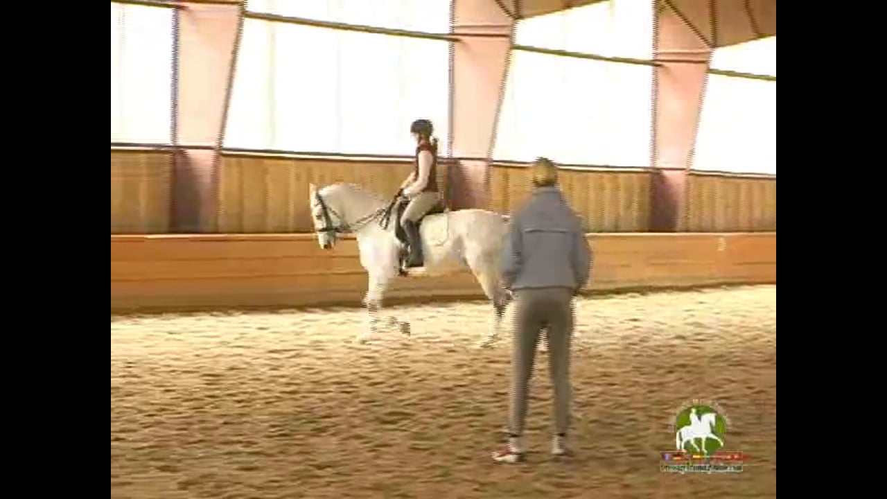Create Great Gaits 2