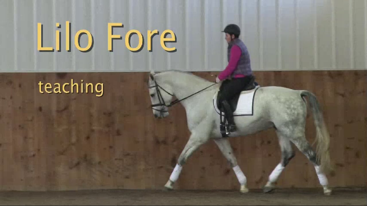 FarmVet/USDF Adult: Contact, Training Level, Uberstreichen | Lilo Fore | PART 03