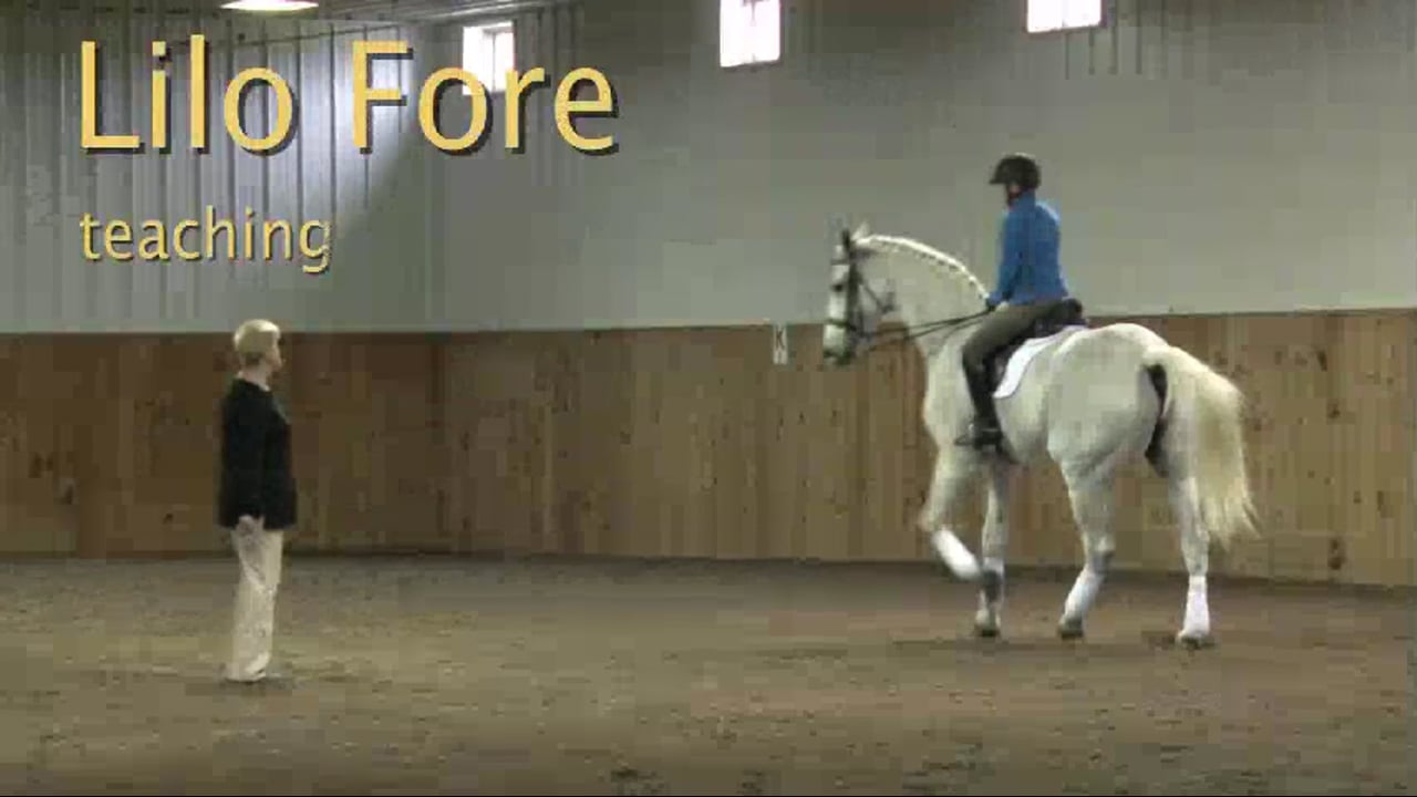 FarmVet/USDF Adult: Contact, Experienced, Strong Horse | Lilo Fore | PART 07