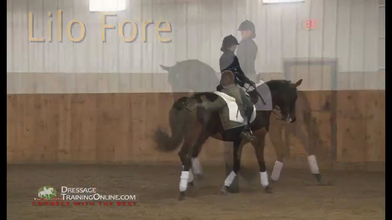 Creating contact with the experienced, strong horse - 2/11/12, FarmVet/USDF Adul