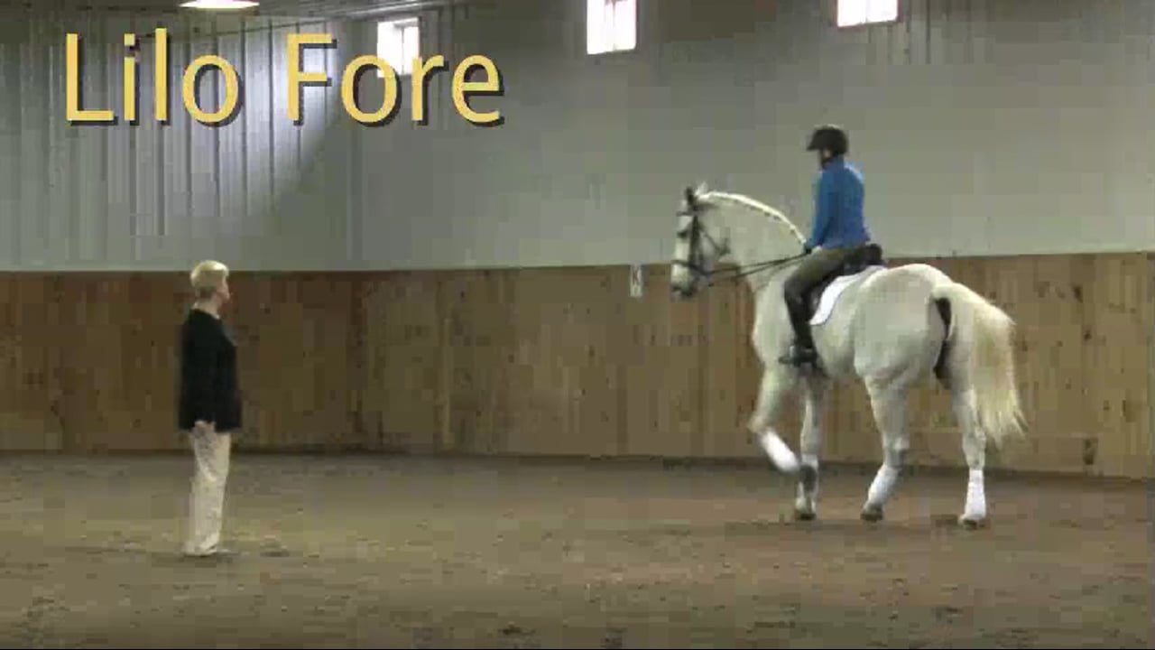 FarmVet/USDF Adult: Contact, Experienced, Strong Horse | Lilo Fore | PART 08