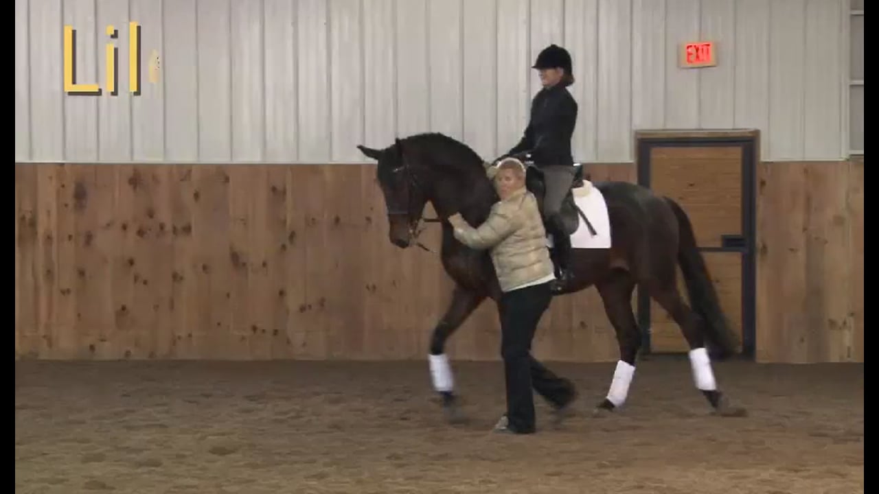 Creating contact with the experienced, strong horse - 2/11/12, FarmVet/USDF Adul