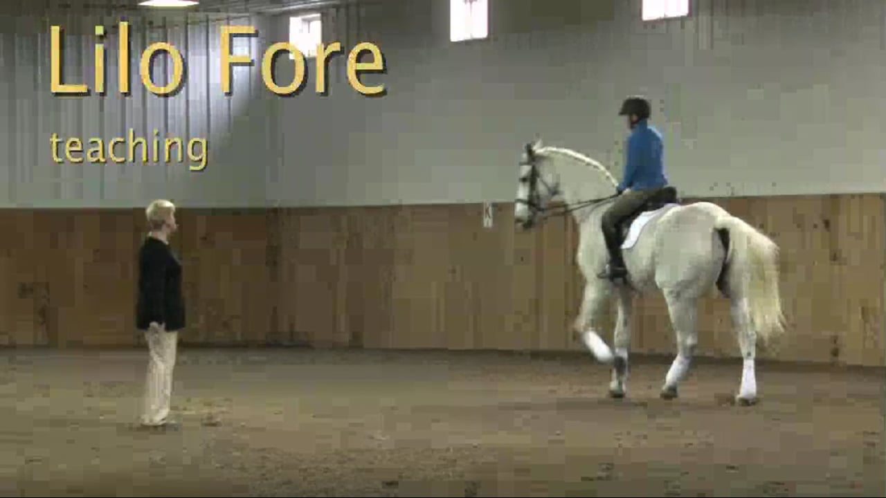 FarmVet/USDF Adult: Contact, Experienced, Strong Horse | Lilo Fore | PART 10