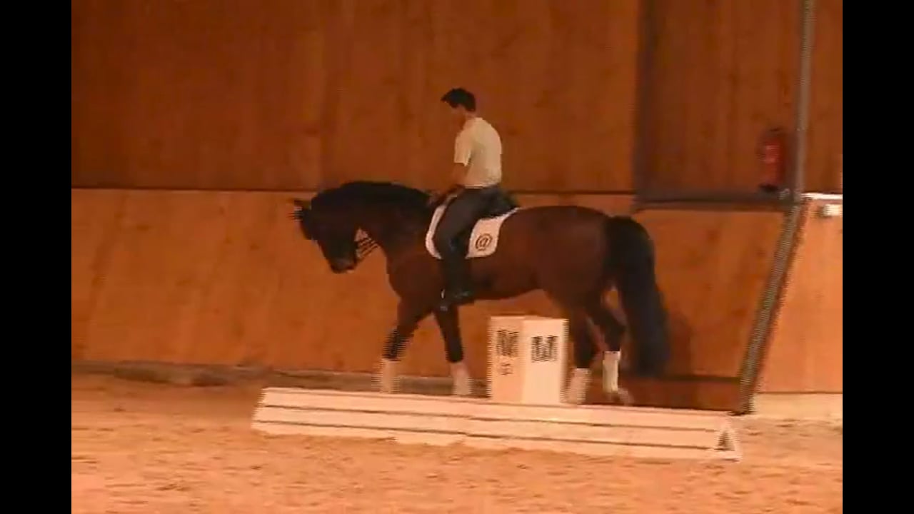Improving the Tempi's, Bend, and Canter Quality | Jean Bemelmans | PART 02