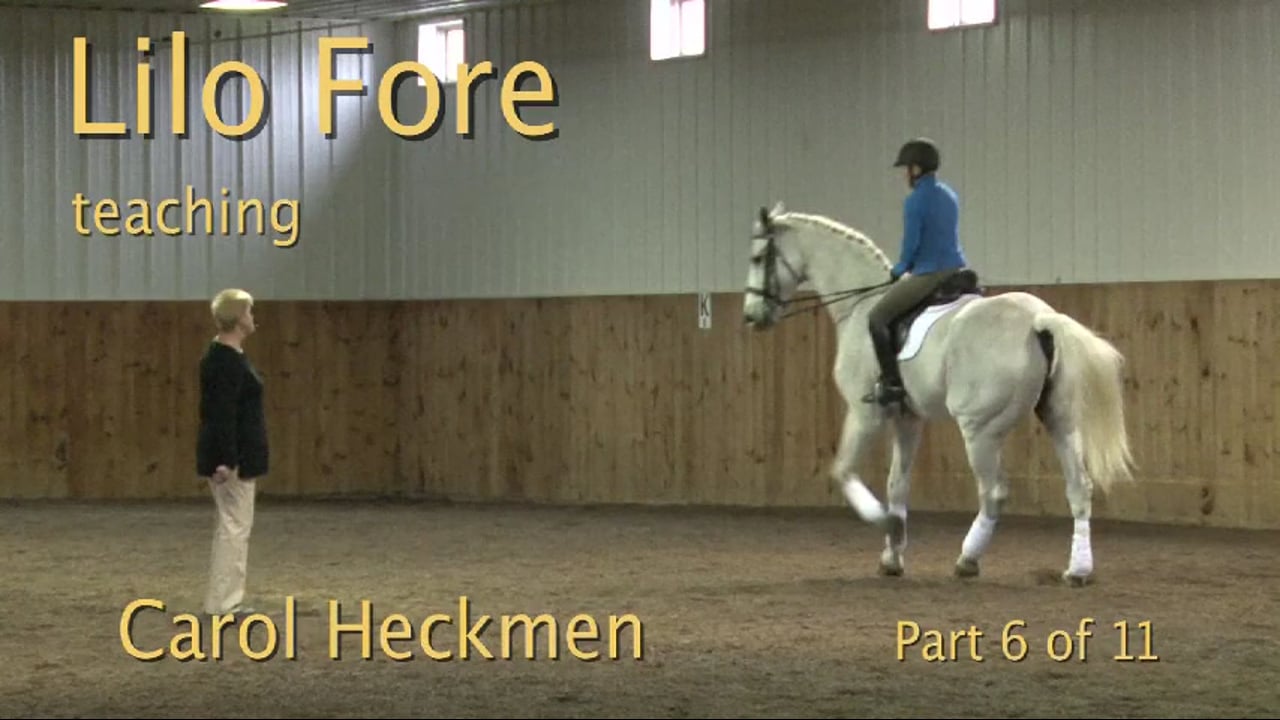 FarmVet/USDF Adult: Contact, Experienced, Strong Horse | Lilo Fore | PART 06