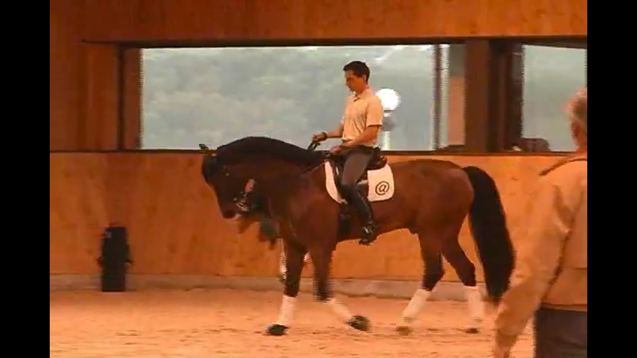 Creating more response and sensitivity with her horse with Walter Zettl