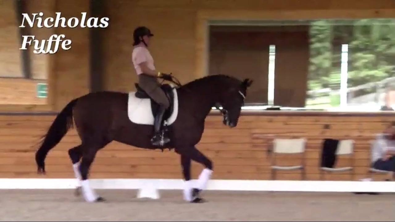 Create Great Gaits | Nicholas Fyffe | PART 02
