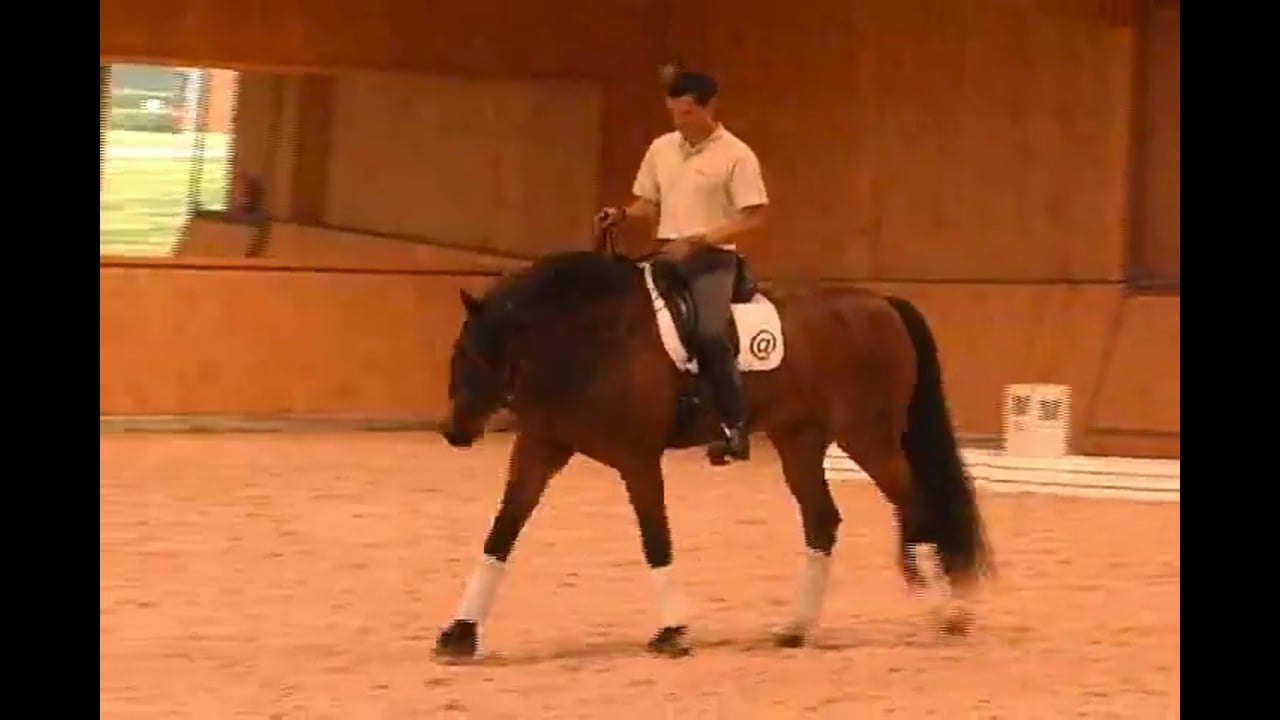 Improving the Tempi's, Bend, and Canter Quality | Jean Bemelmans | PART 01