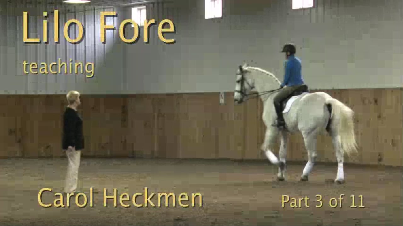FarmVet/USDF Adult: Contact, Experienced, Strong Horse | Lilo Fore | PART 03