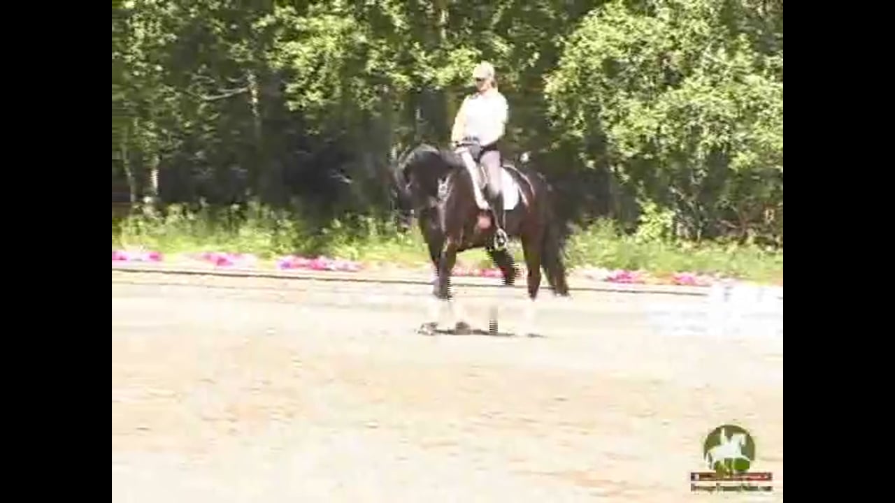 Dealing with Show Nerves