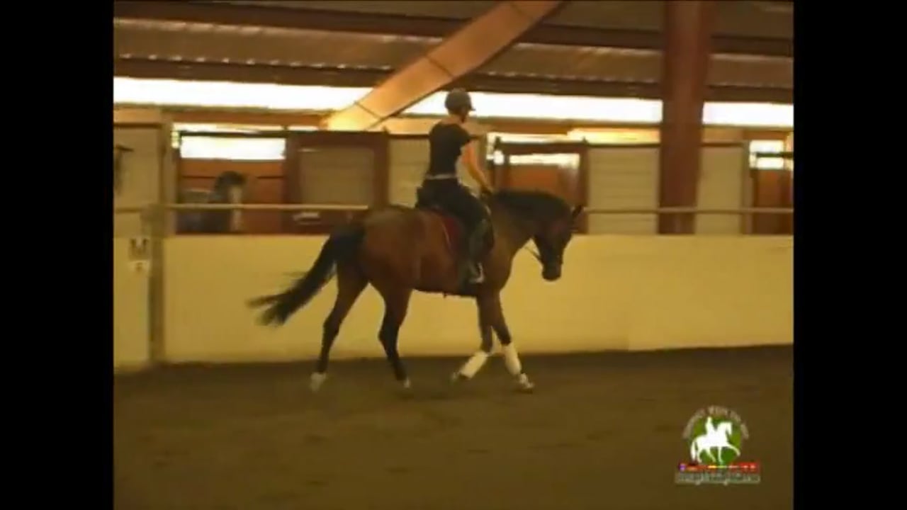 Dealing with a Challenging Horse | Jody Harstone | PART 01