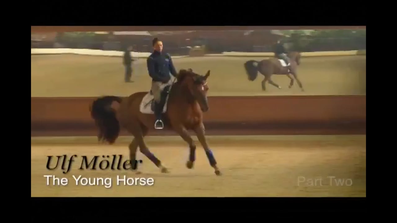 The Young Horse: Counter Canter, Canter-Walk | Dr. Ulf Moller | PART 02