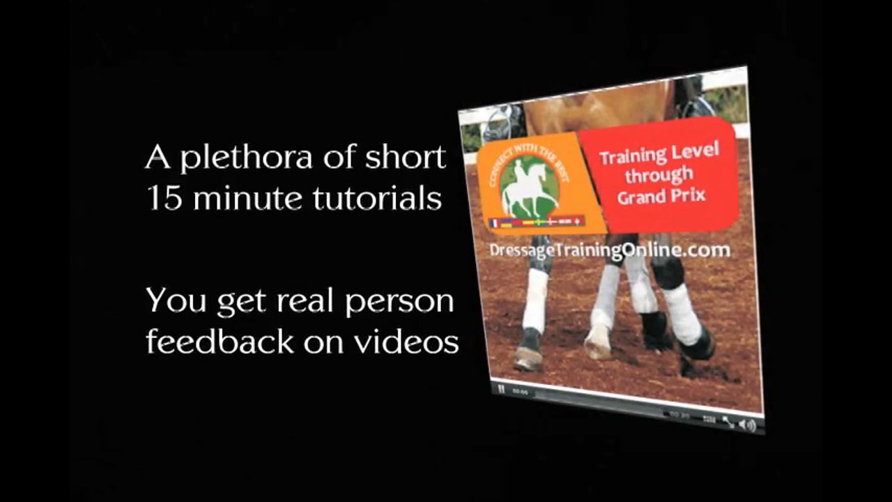 Feel and Connect | Debbie McDonald | PART 01