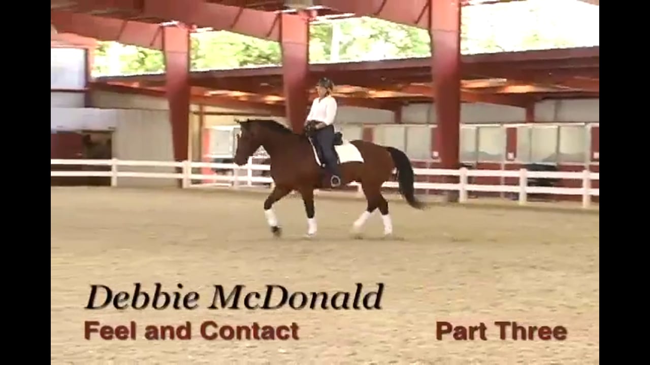 Feel and Contact | Debbie McDonald | PART 03