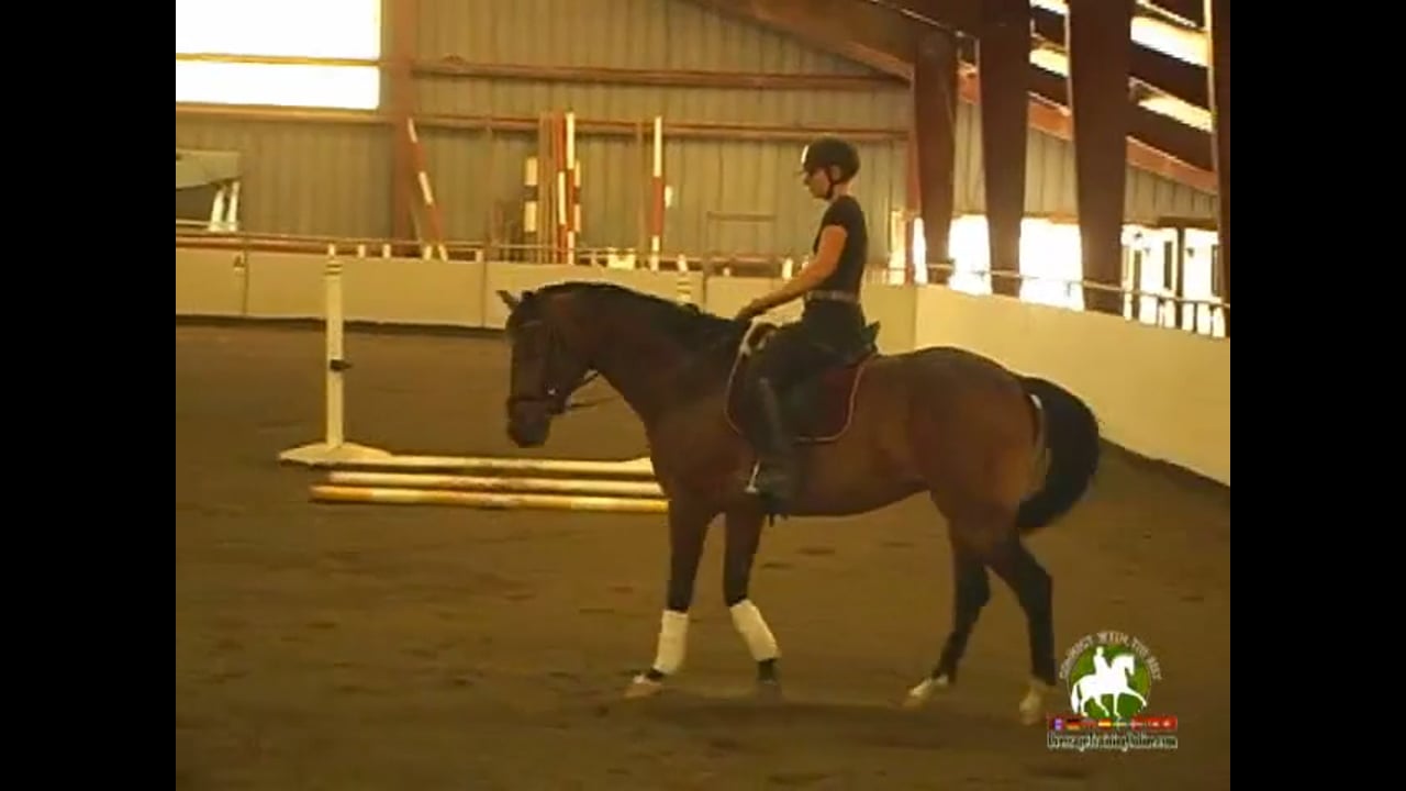 Modified Level Improving the Connection | Dayna Lynd-Pugh