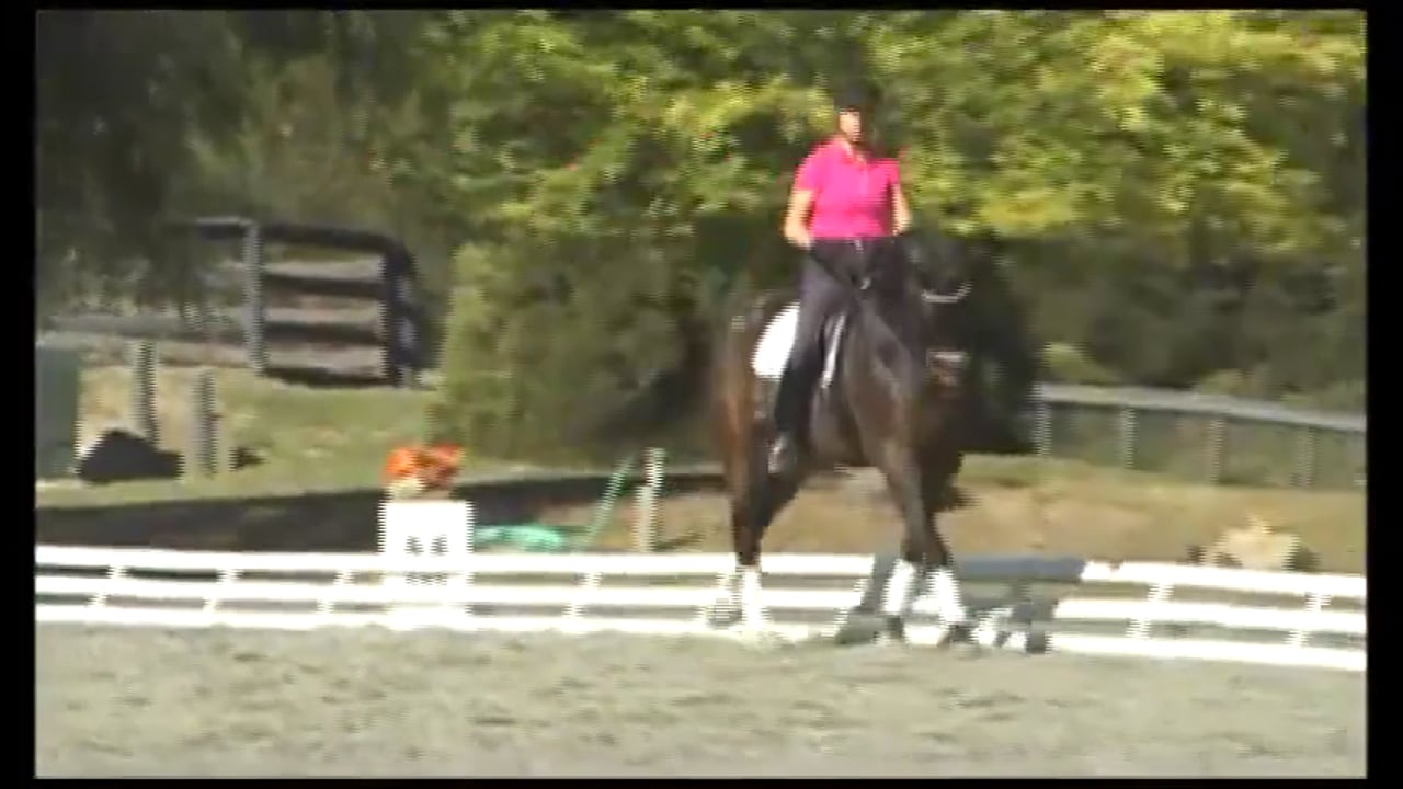 3rd & 4th level Tests Ridden: Canter Pirouettes | Debbie McDonald & Janet Foy
