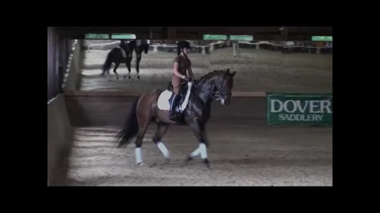 Developing Nations Dressage Symposium: 3rd/M Level | Axel Steiner | PART 05