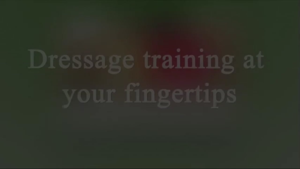 Into the Connection | Debbie McDonald | PART 01