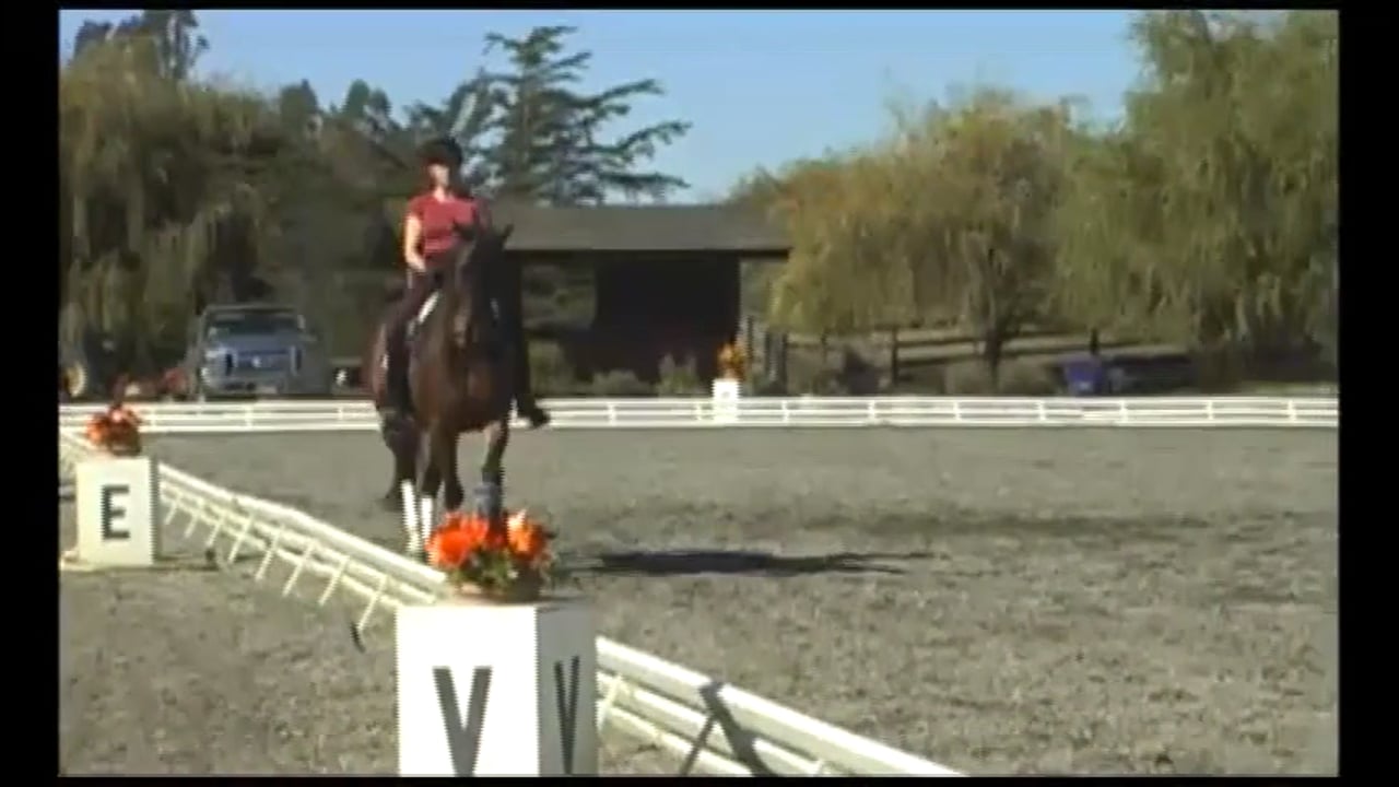 3rd and 4th level Tests Ridden and Discussed | Debbie McDonald & Janet Foy