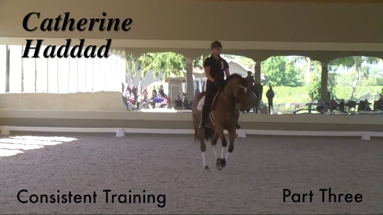 Consistent Training | Catherine Haddad | PART 03