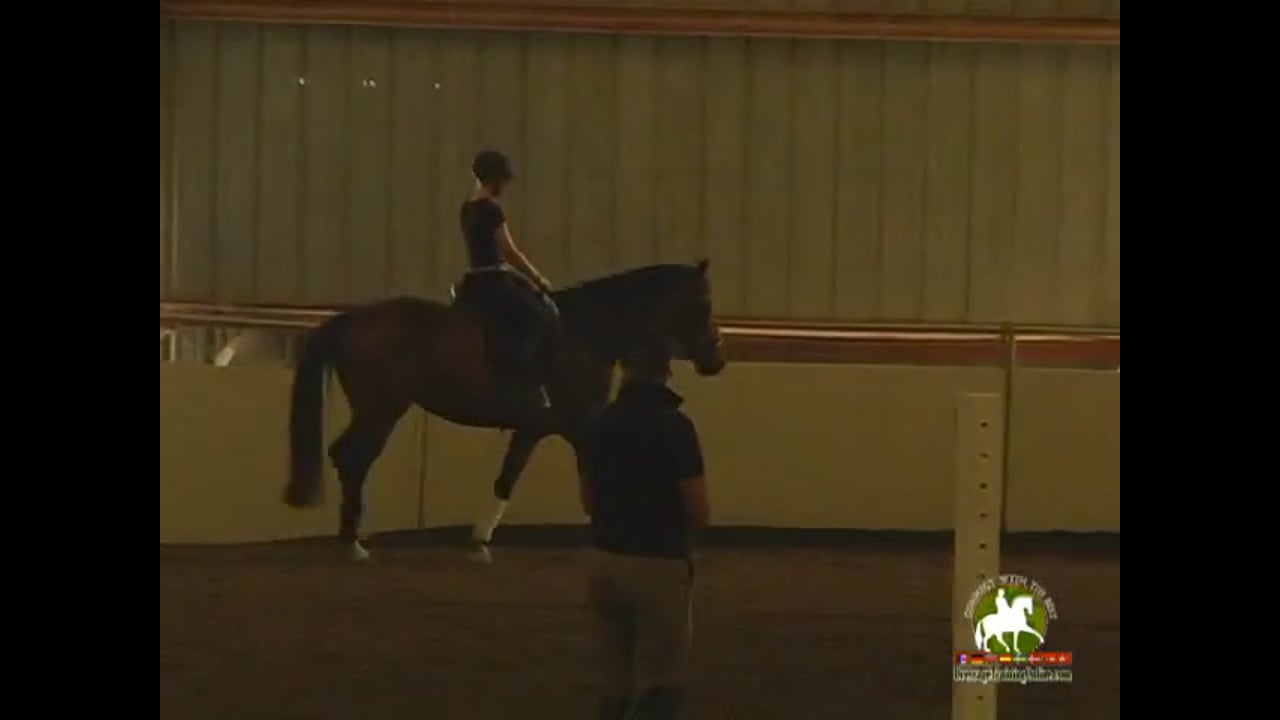 Dealing with a Challenging Horse | Jody Harstone | PART 02