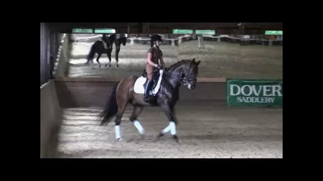 Developing Nations Dressage Symposium: 3rd/M Level | Axel Steiner | PART 04