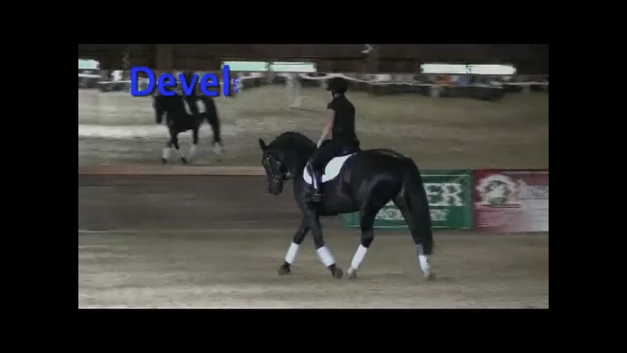 Developing Nations Dressage Symposium: Training - 2nd | Axel Steiner | PART 03