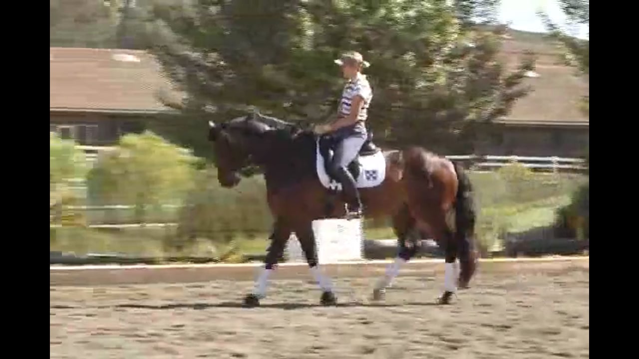 Developing Trot, Preparing Walk/Canter Pirouettes | Courtney King-Dye | PART 01