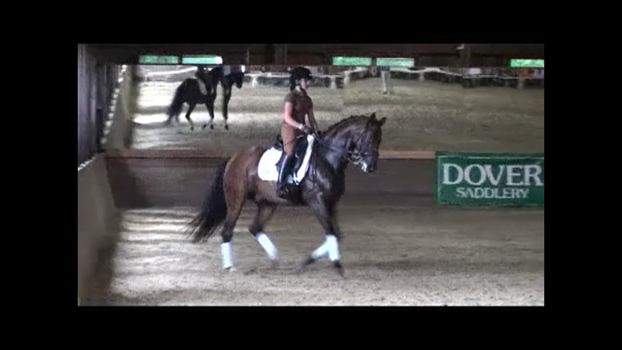 Developing Nations Dressage Symposium: 3rd/M Level | Axel Steiner | PART 02