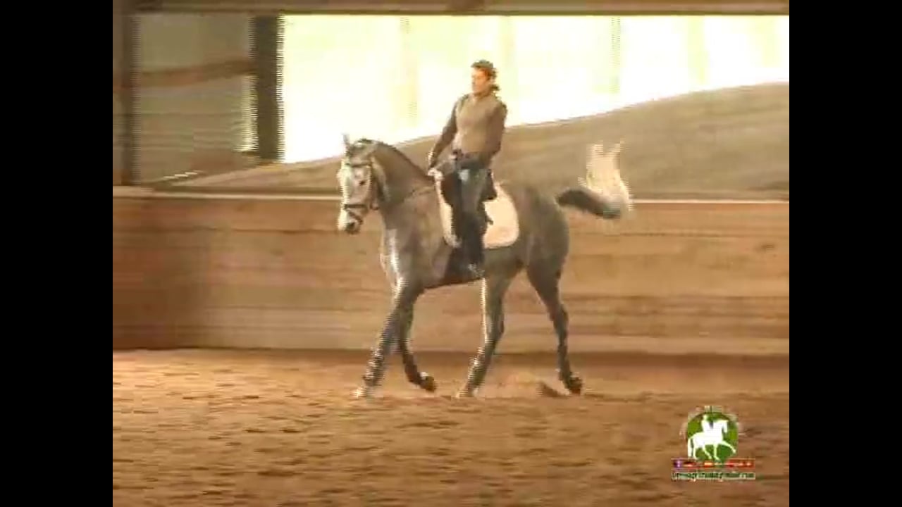 Discussion of Position and use of the seat - Catherine Haddad Staller