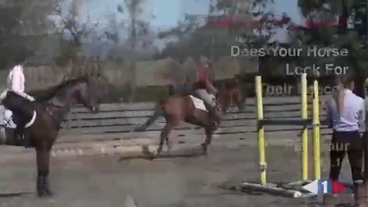 Does Your Horse Look For Their Fence? | David O'Connor | PART 02