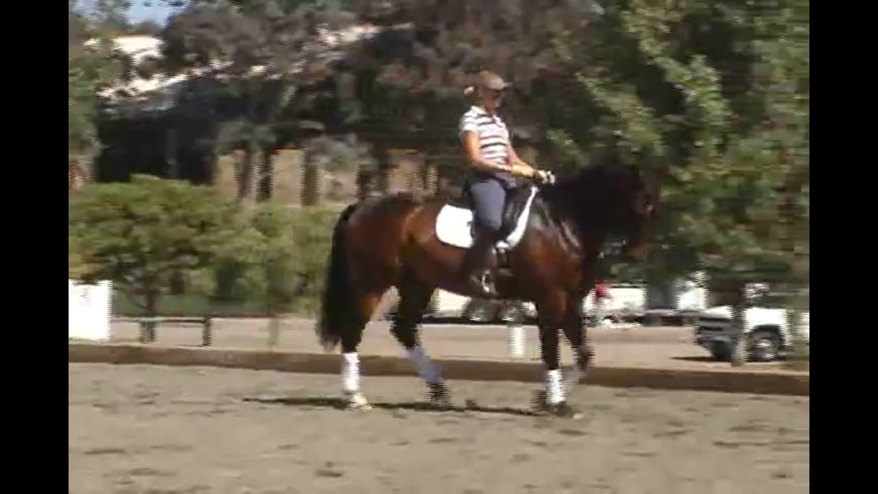 Developing the Gaits and Feel at Second Level | Arlene Tuny Page | PART 03