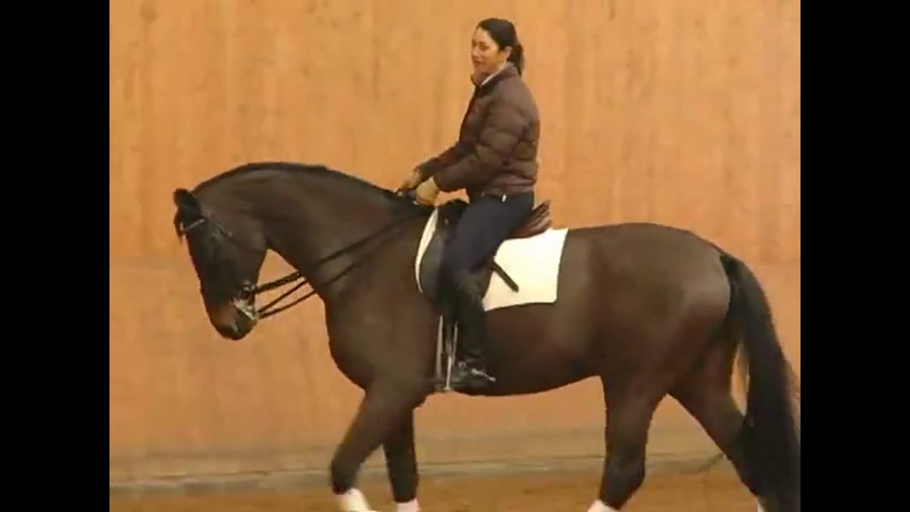 Discussion of Position and Use of the Seat | Catherine Haddad | PART 01