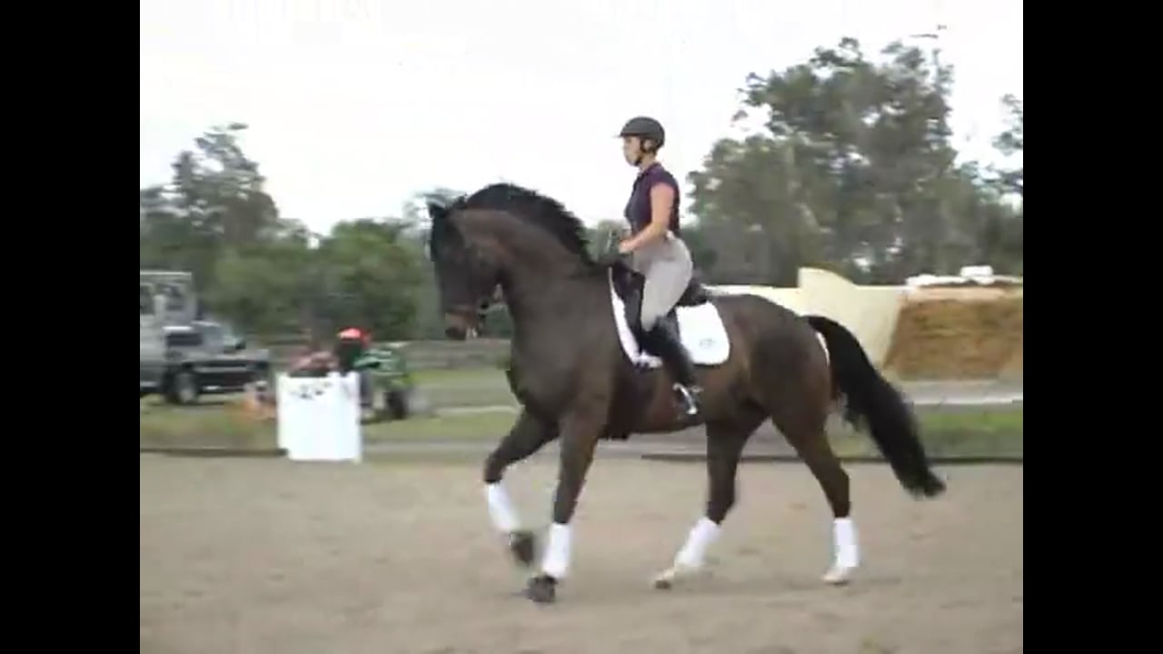 Developing the Gaits and Feel at Second Level | Arlene Tuny Page | PART 02