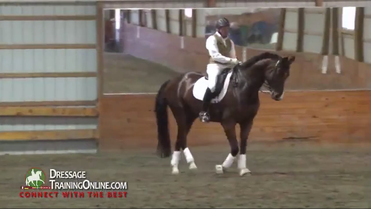 First Level Canter, Half Halt & Jump | Dr. Ulf Moller | PART 03