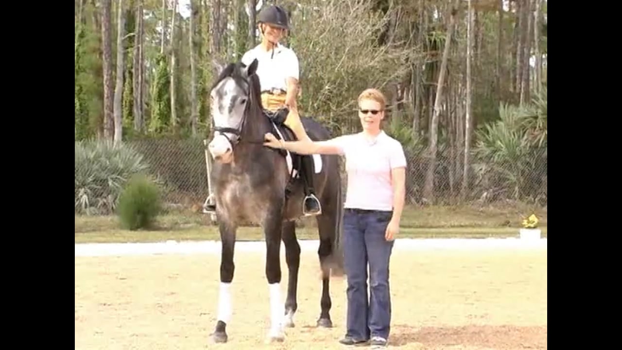 Developing Nations Dressage Symposium, Training Level thru 2nd Level with Axel S