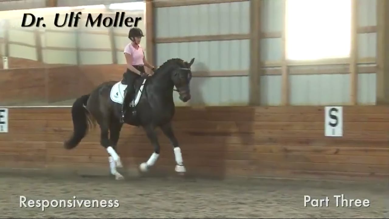 Responsiveness | Dr. Ulf Moller | PART 03