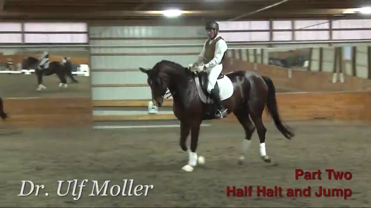 First Level Canter, Half Halt & Jump | Dr. Ulf Moller | PART 02