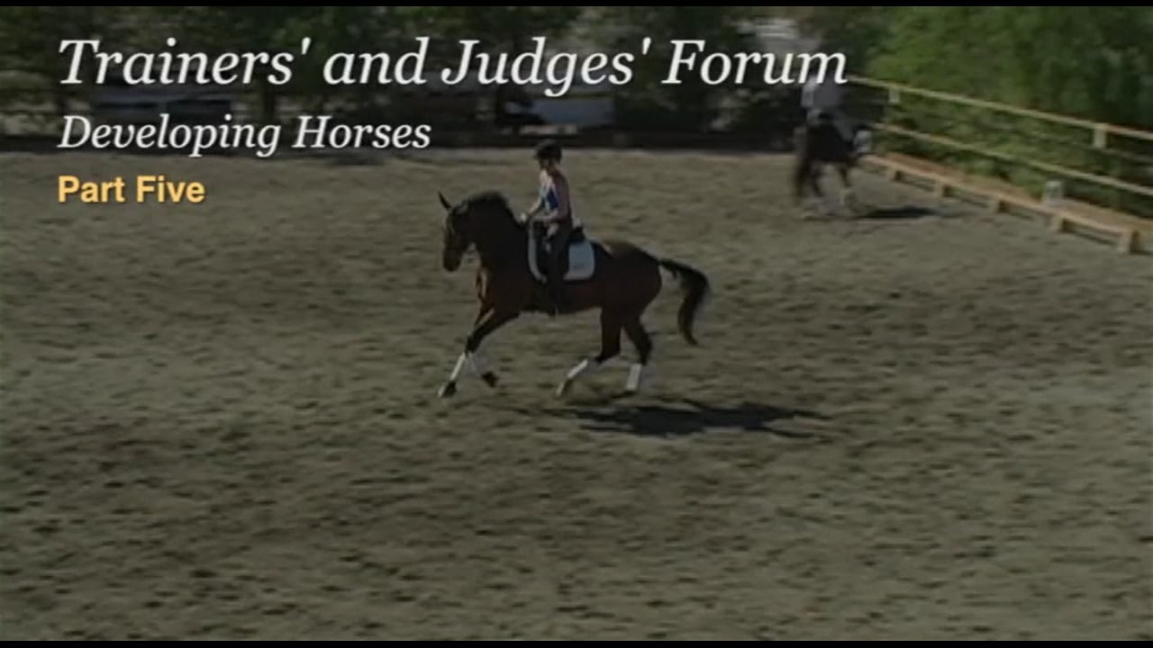 Developing Horses, Activity, Half Steps, Changes | Dr. Dieter Schule | PART 05