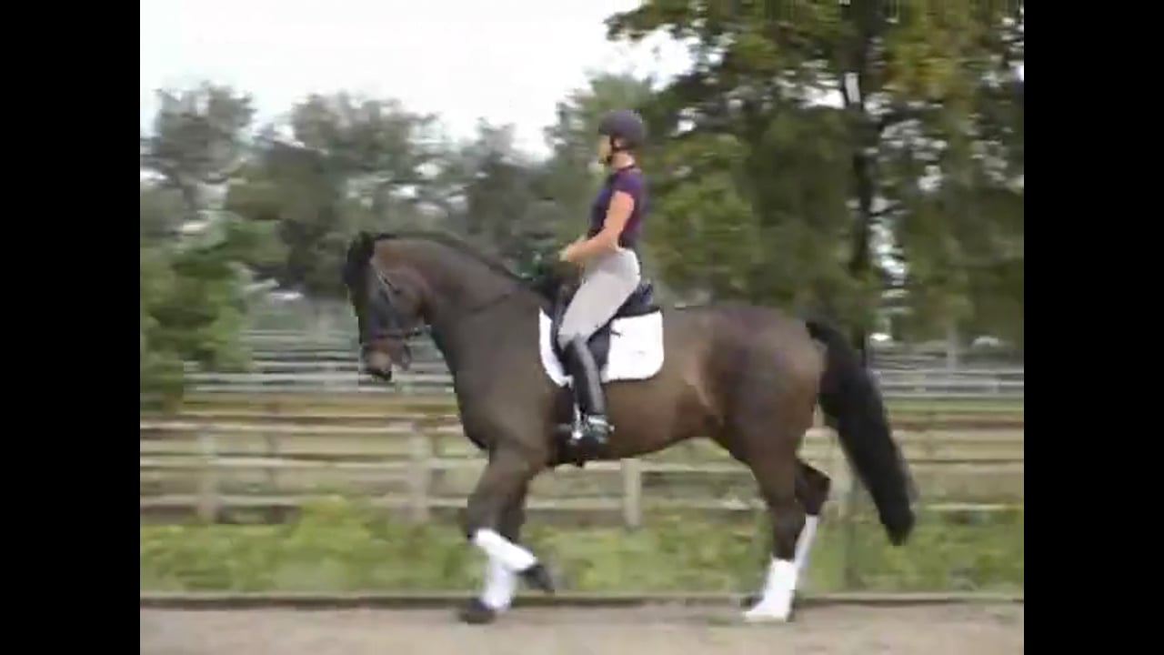 Developing the Gaits and Feel at Second Level | Arlene Tuny Page | PART 01