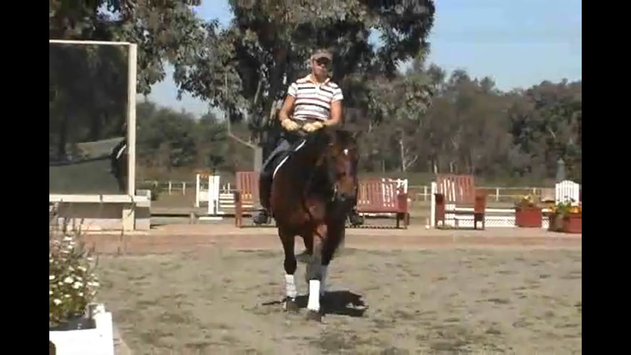 Developing Trot, Preparing Walk/Canter Pirouettes | Courtney King-Dye | PART 01