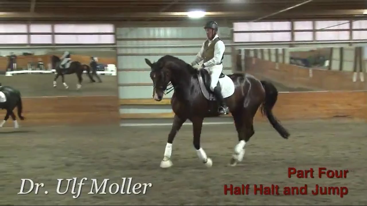First Level Canter, Half Halt & Jump | Dr. Ulf Moller | PART 04